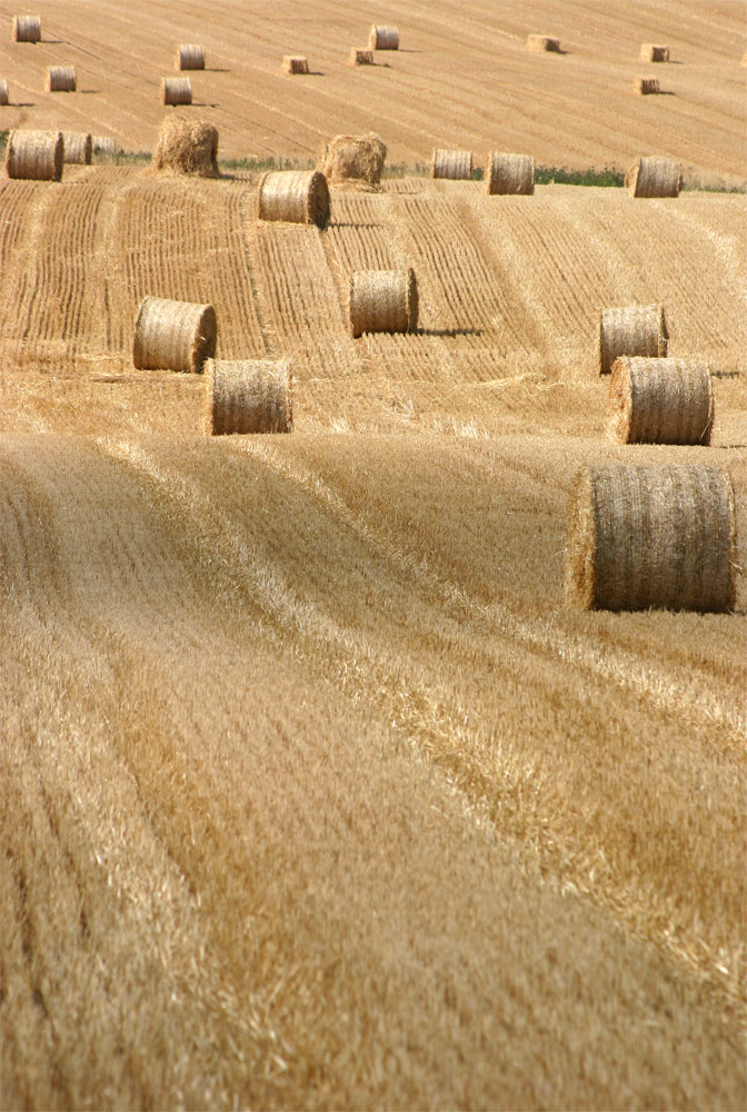 Photography by DurhamTyke for DesignCrowd (Community Contests) | Design #9037385