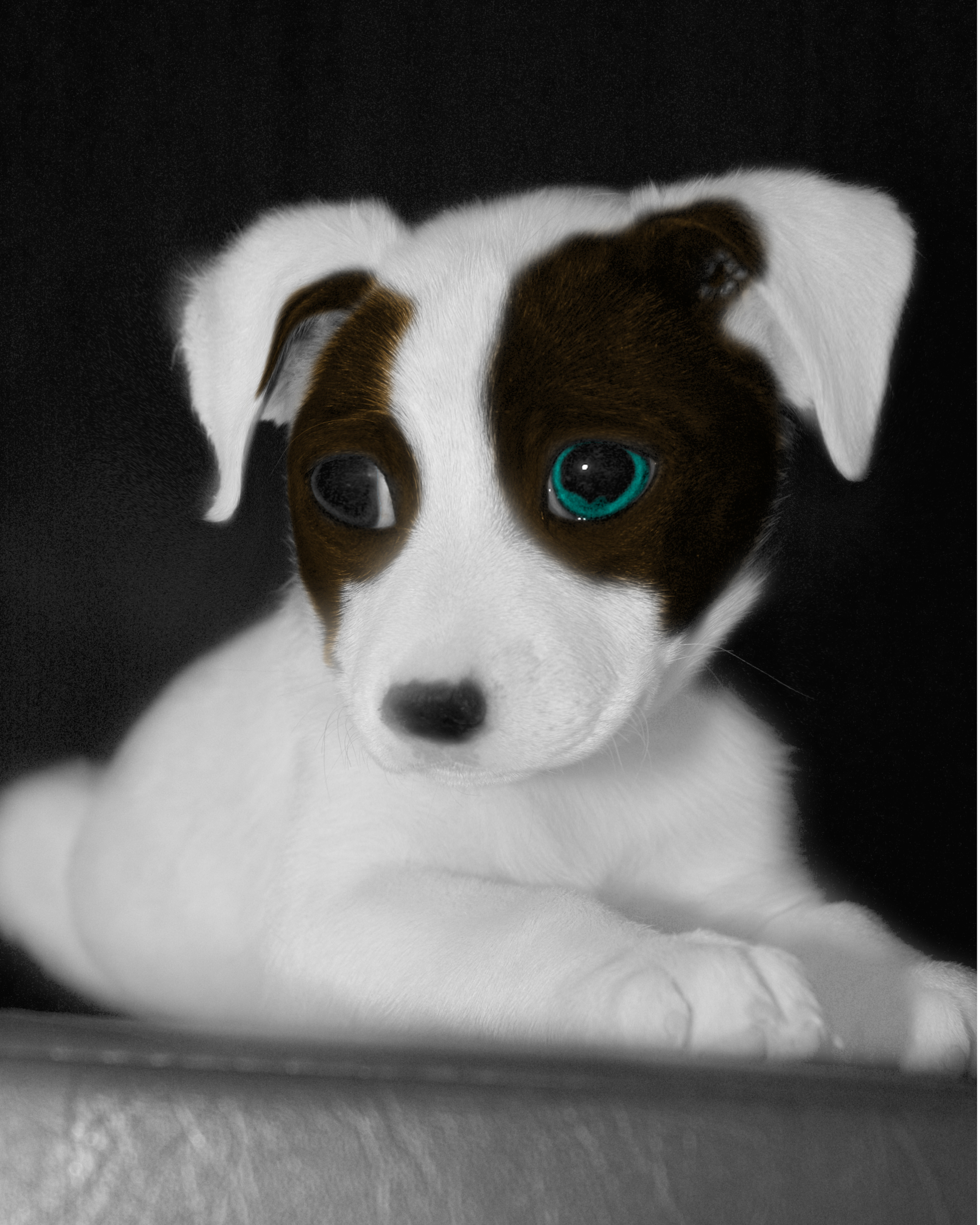 Design Photoshop par yury2006 pour DesignCrowd (Community Contests) | Design #9038507