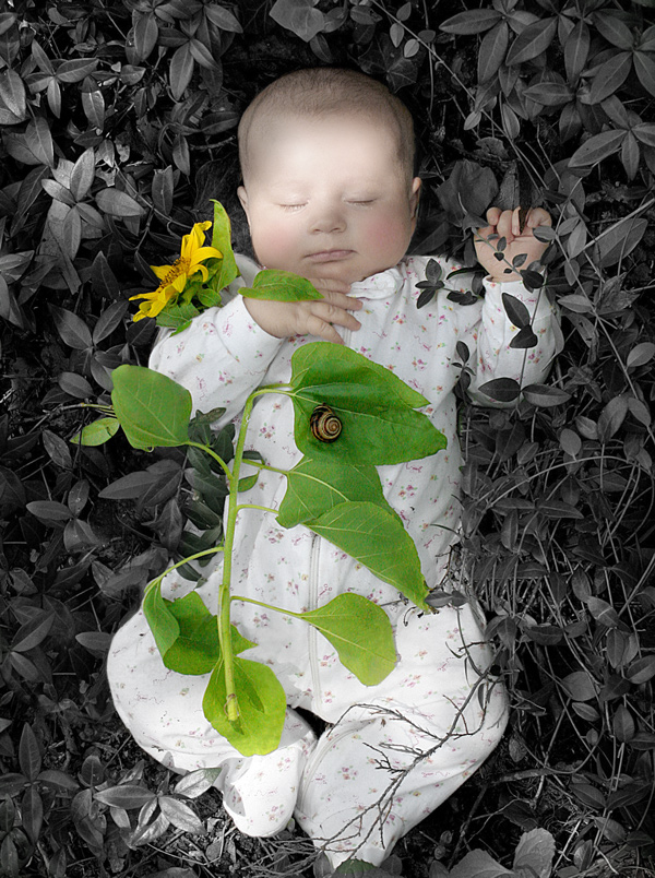 Photoshop Design by starrwalker for DesignCrowd (Community Contests) | Design #9038568