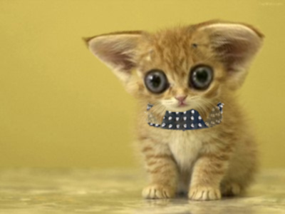 Photoshop Design by Jaganort for DesignCrowd (Community Contests) | Design #9038564