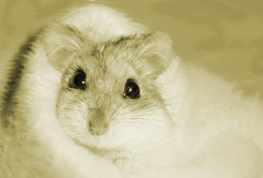 Diseño de Photoshop por Destinyzkid para DesignCrowd (Community Contests) | Diseño #9038695