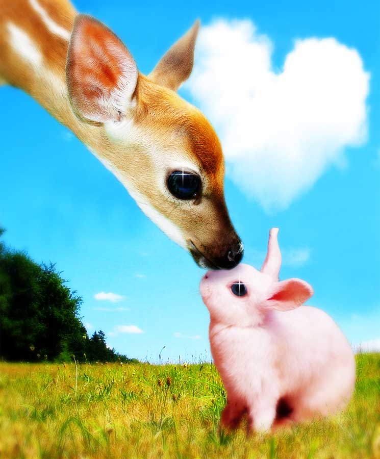 Diseño de Photoshop por Pepito7 para DesignCrowd (Community Contests) | Diseño #9038656