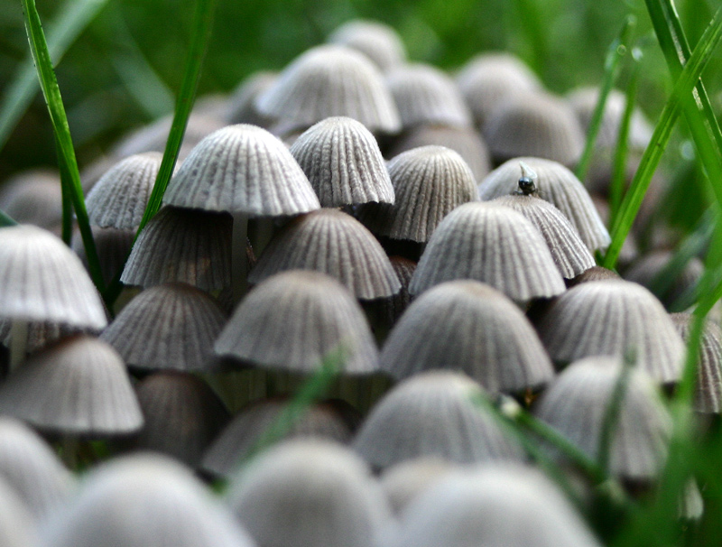 Fotografía por rdchdwck para DesignCrowd (Community Contests) | Diseño #9036165