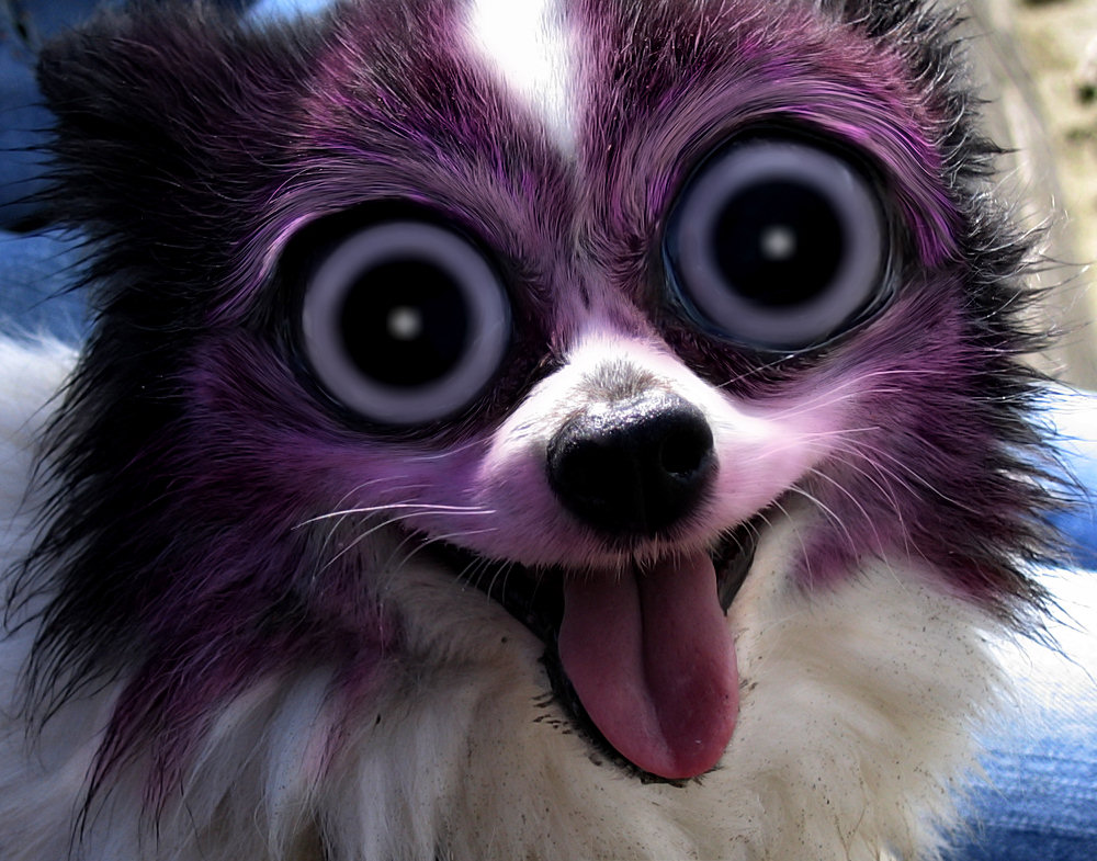 Photoshop Design by missyelle for DesignCrowd (Community Contests) | Design #9038629