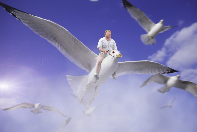 Photoshop Design by lais98 for DesignCrowd (Community Contests) | Design #9036784