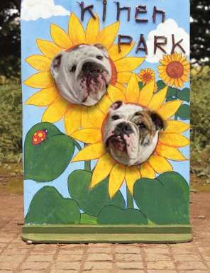 Photoshop Design by shawn69 for DesignCrowd (Community Contests) | Design #9038724