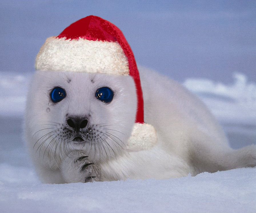 Diseño de Photoshop por Hitmaxx para DesignCrowd (Community Contests) | Diseño #9038676