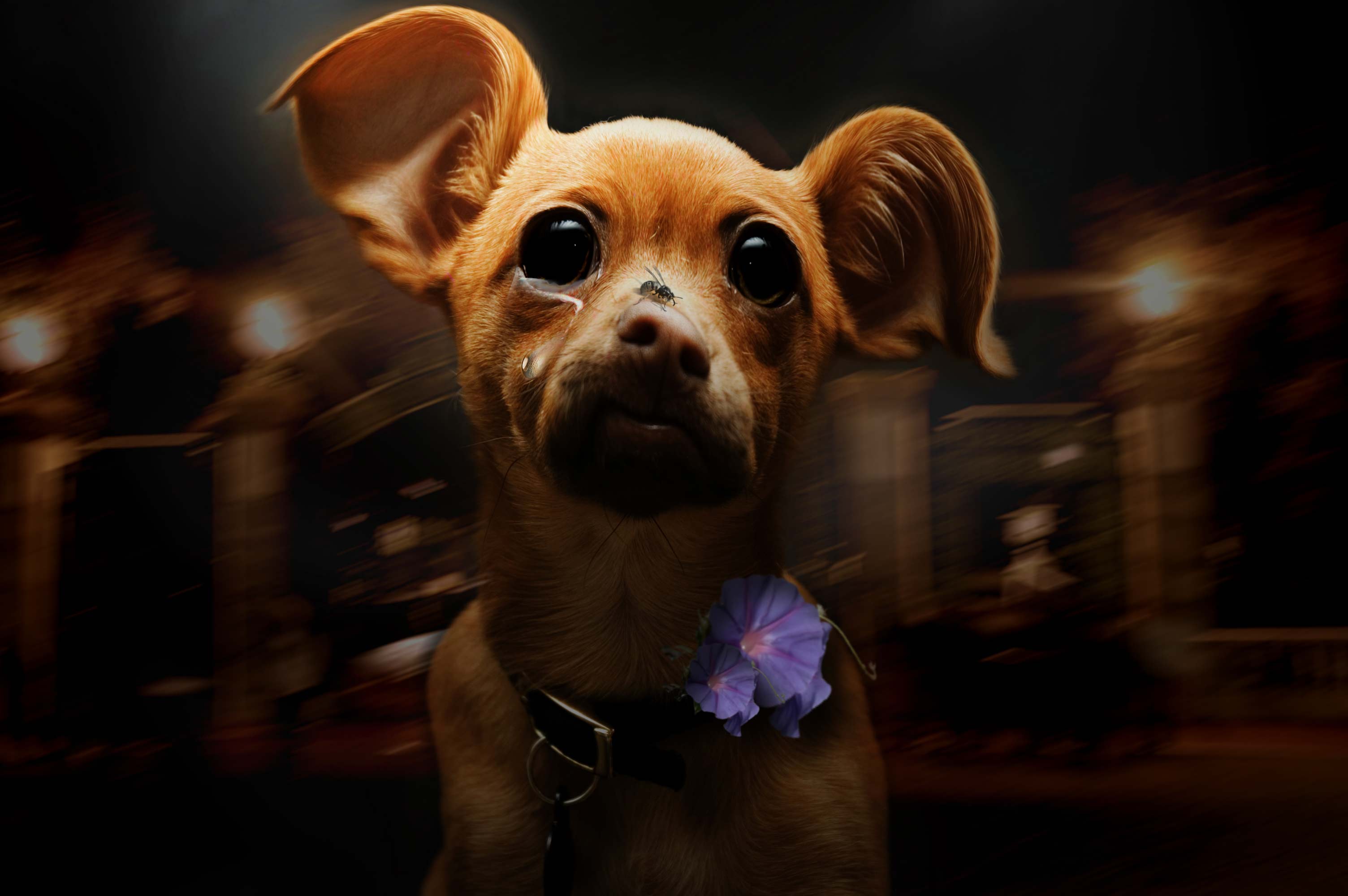 Photoshop Design by LemmyRocks for DesignCrowd (Community Contests) | Design #9038698