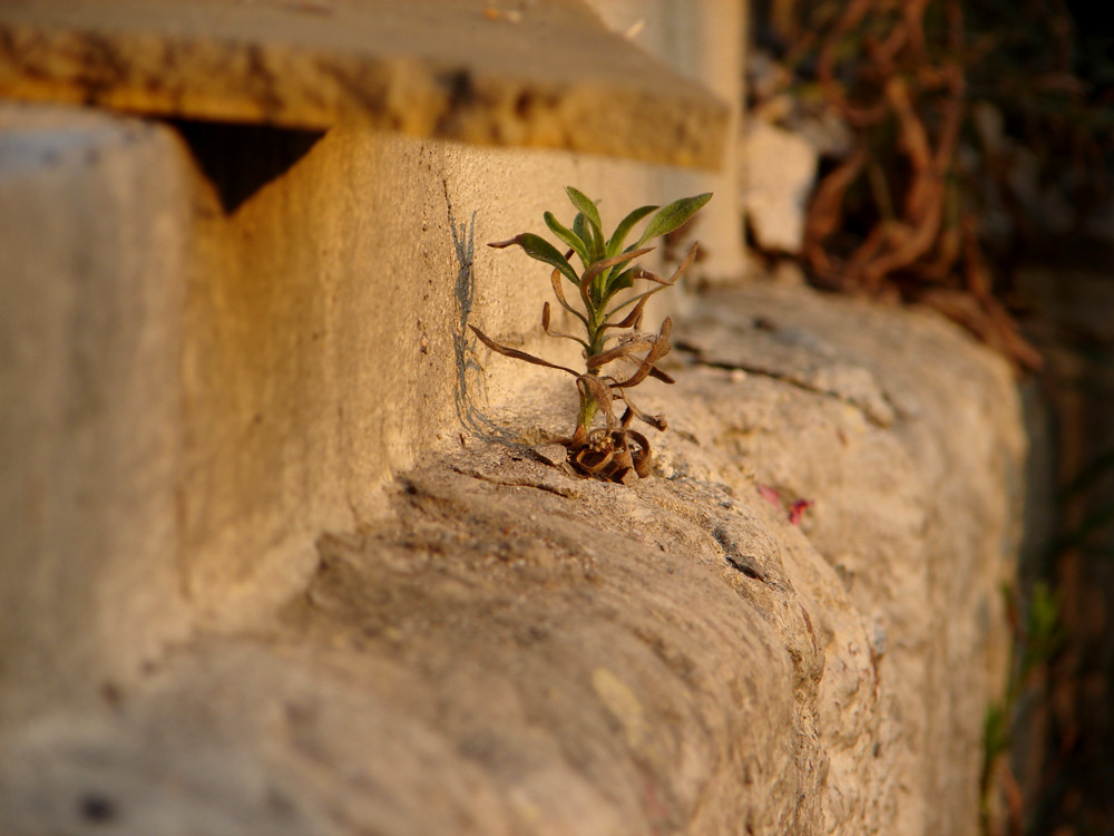 Photography by bigevil600 for DesignCrowd (Community Contests) | Design #9036169