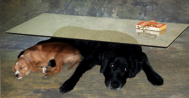 Photoshop Design by JoeyGio for DesignCrowd (Community Contests) | Design #9039317