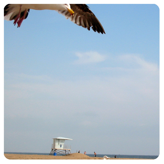 Photography by lilgreenbutton for DesignCrowd (Community Contests) | Design #9036197