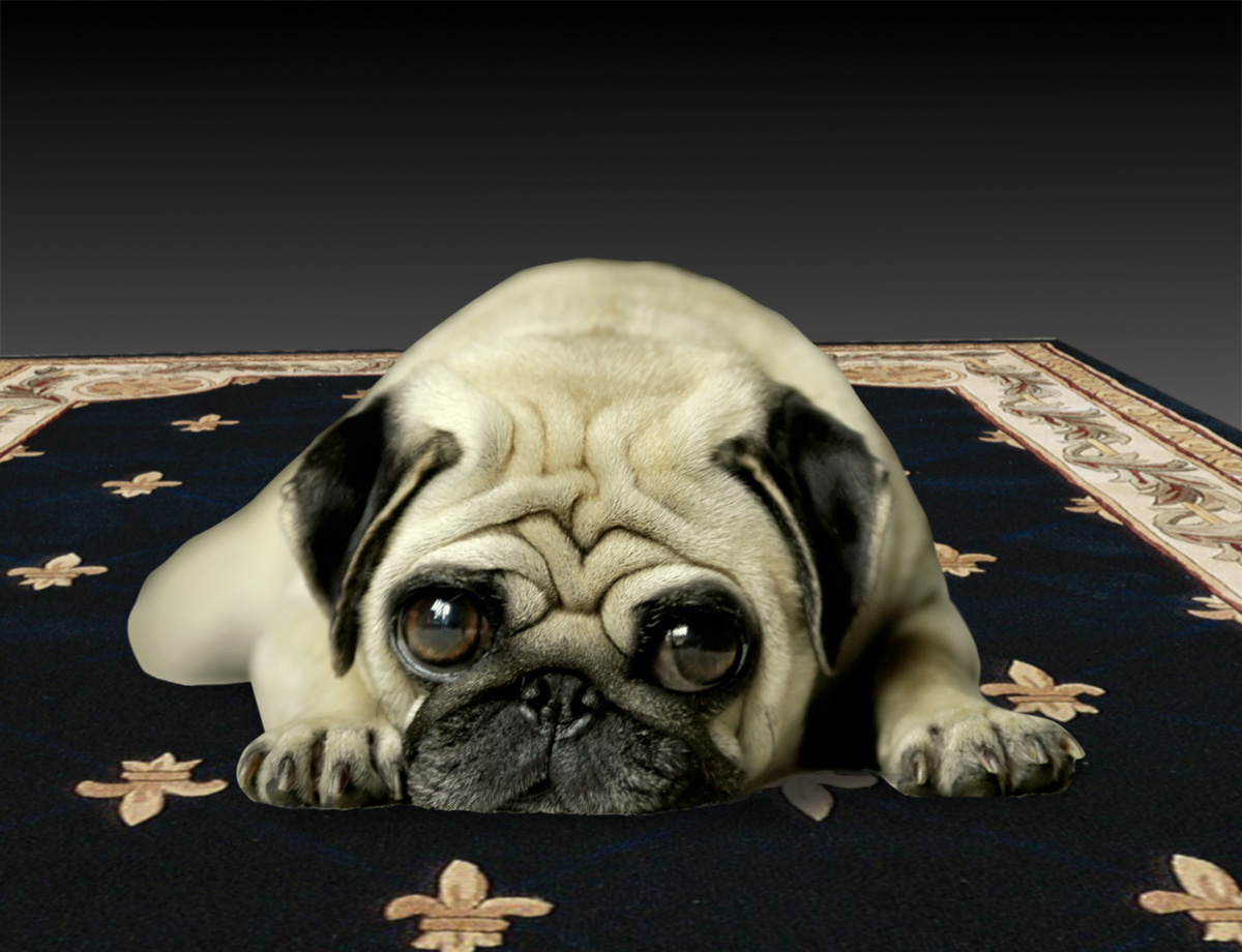 Photoshop Design by Zoshchenko for DesignCrowd (Community Contests) | Design #9038590