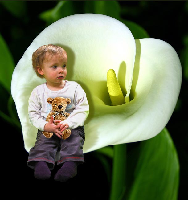 Design Photoshop par katootje pour DesignCrowd (Community Contests) | Design #9038704