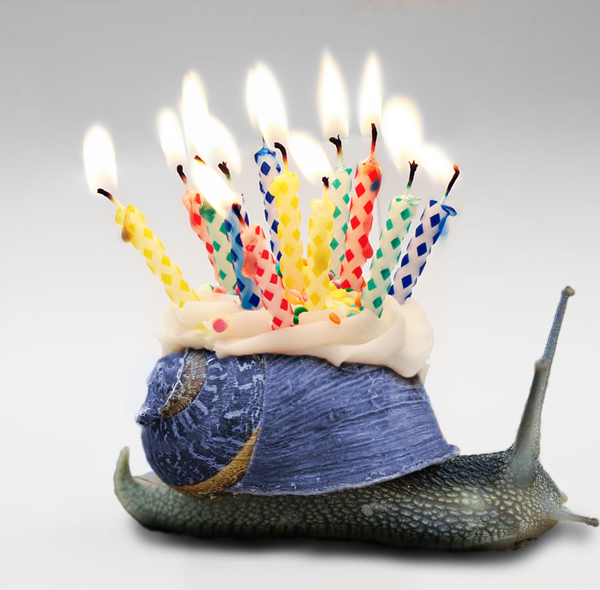 Photoshop Design by deadgirlsdont for DesignCrowd (Community Contests) | Design #9039346