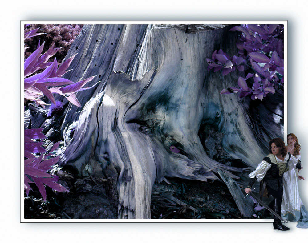 Photoshop Design by Tessalynne for DesignCrowd (Community Contests) | Design #9036861