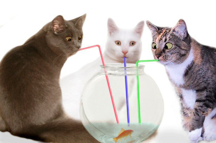 Design Photoshop par annihilist pour DesignCrowd (Community Contests) | Design #9038752