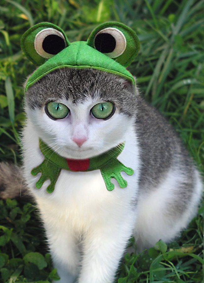 Diseño de Photoshop por redcard para DesignCrowd (Community Contests) | Diseño #9038740