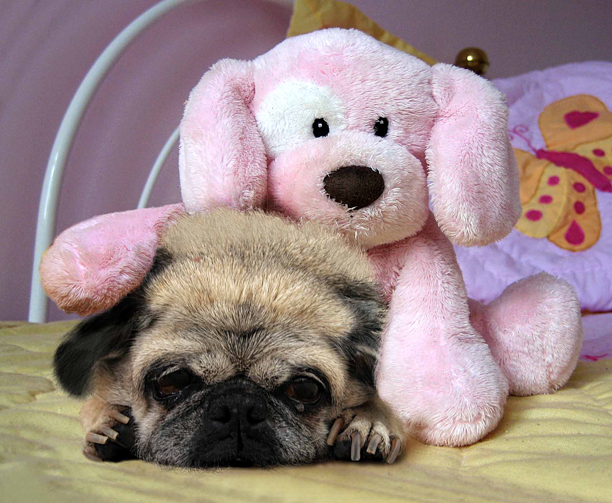 Photoshop Design by tombarreto for DesignCrowd (Community Contests) | Design #9038797