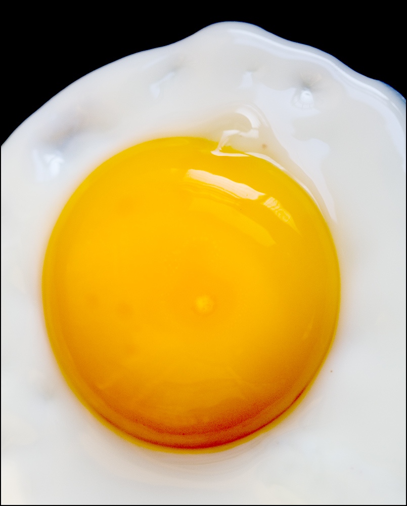 Fotografía por rjalex para DesignCrowd (Community Contests) | Diseño #9037537