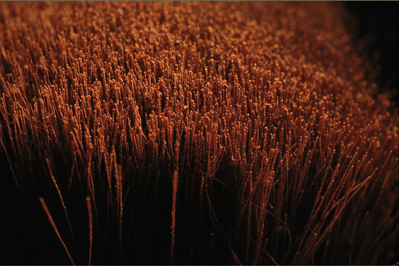 Photography by Choane for DesignCrowd (Community Contests) | Design #9028165