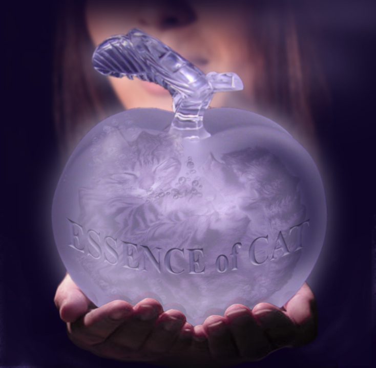 Photoshop-Design von sizzlar für DesignCrowd (Community Contests) | Design #9039445