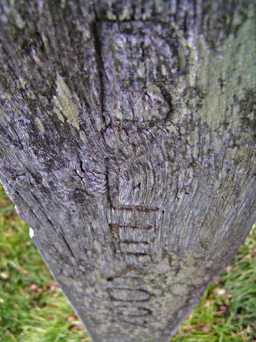 Fotografie von bobblainey für DesignCrowd (Community Contests) | Design #9036203