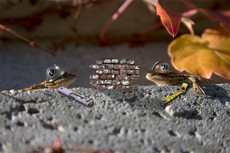 Design Photoshop par CRAZYLEGGSROGERS pour DesignCrowd (Community Contests) | Design #9039399