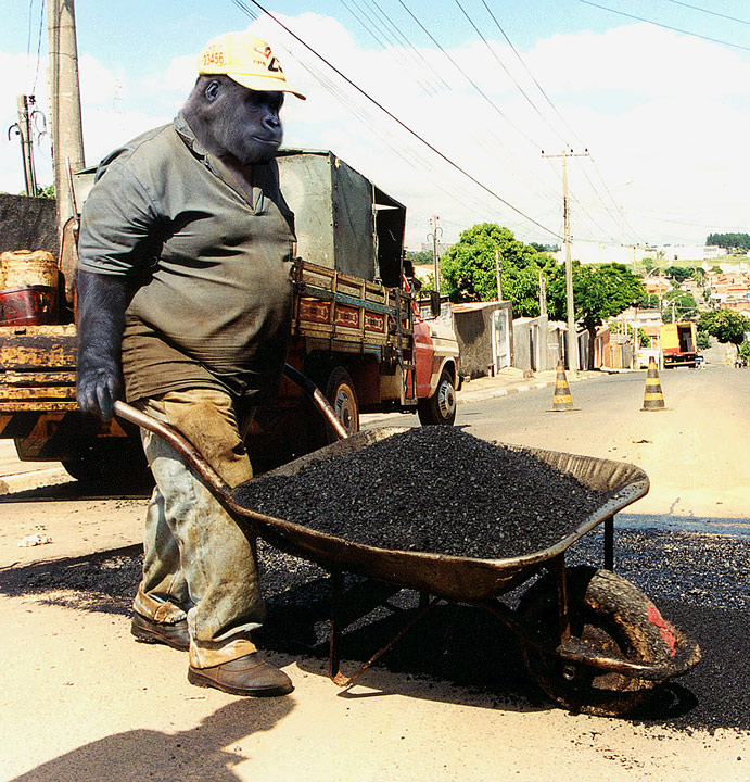 Photoshop Design by mjhaylor for DesignCrowd (Community Contests) | Design #9039402