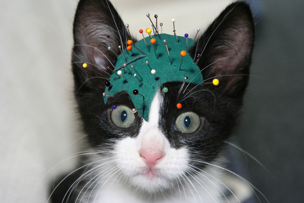 Design Photoshop par iguanna pour DesignCrowd (Community Contests) | Design #9039415