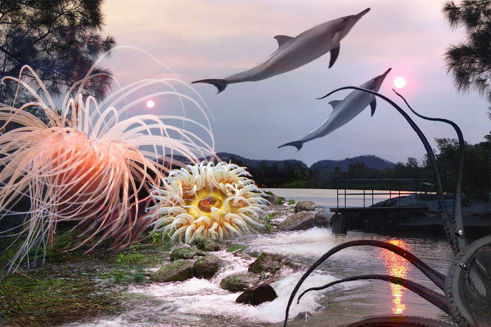 Photoshop Design by ozplasmic for DesignCrowd (Community Contests) | Design #9034647