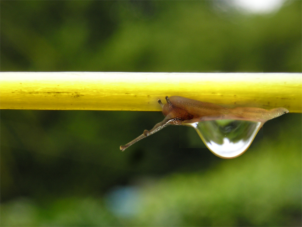 Design Photoshop par ellall pour DesignCrowd (Community Contests) | Design #9033277