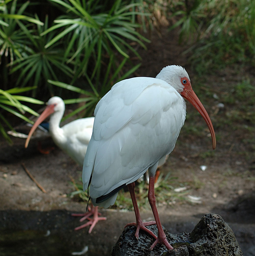 Photographie par Jawizza pour DesignCrowd (Community Contests) | Design #9036266