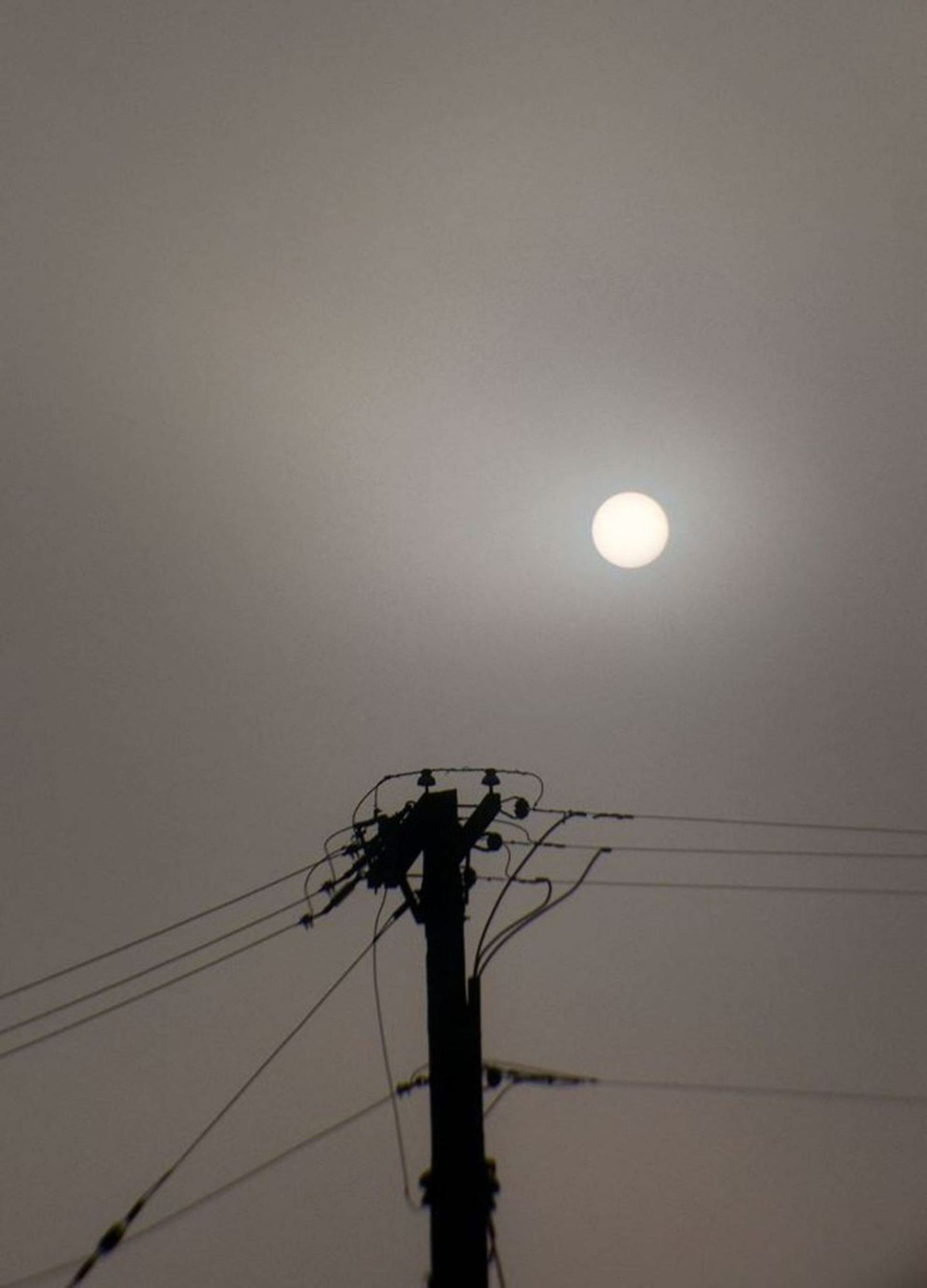 Photography by slimjewel1 for DesignCrowd (Community Contests) | Design #9037612