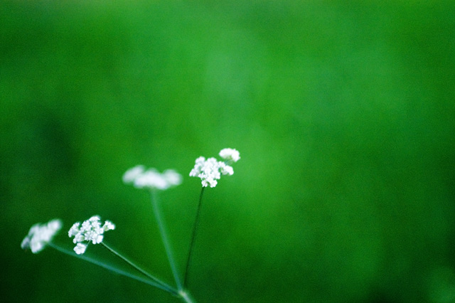 Photography by TheSpaz for DesignCrowd (Community Contests) | Design #9037449