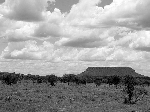 Photography by alxkueyar for DesignCrowd (Community Contests) | Design #9037554