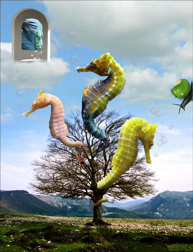 Photoshop Design by Sassydeb for DesignCrowd (Community Contests) | Design #9034968