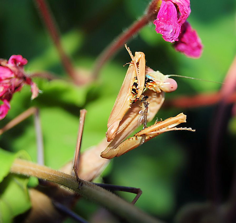 Photography by alwaysbeencreative for DesignCrowd (Community Contests) | Design #9036367