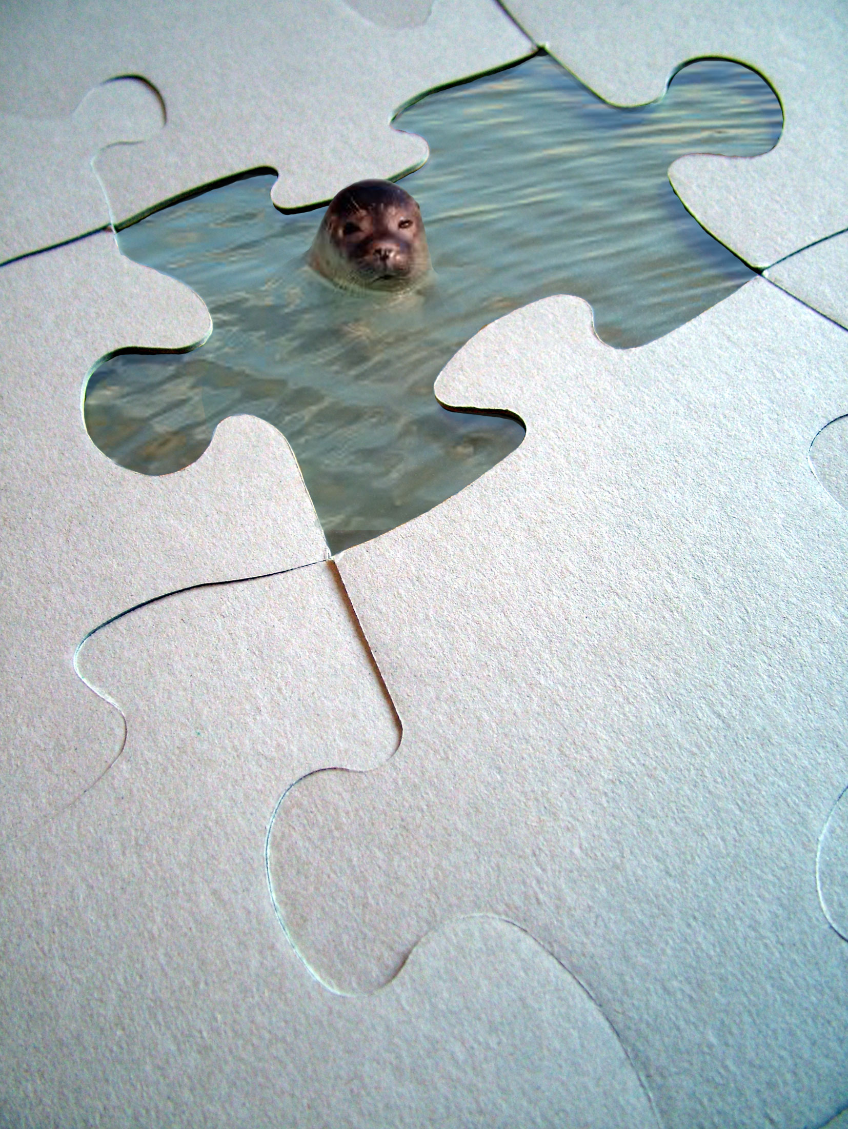 Design Photoshop par CRAZYLEGGSROGERS pour DesignCrowd (Community Contests) | Design #9033329