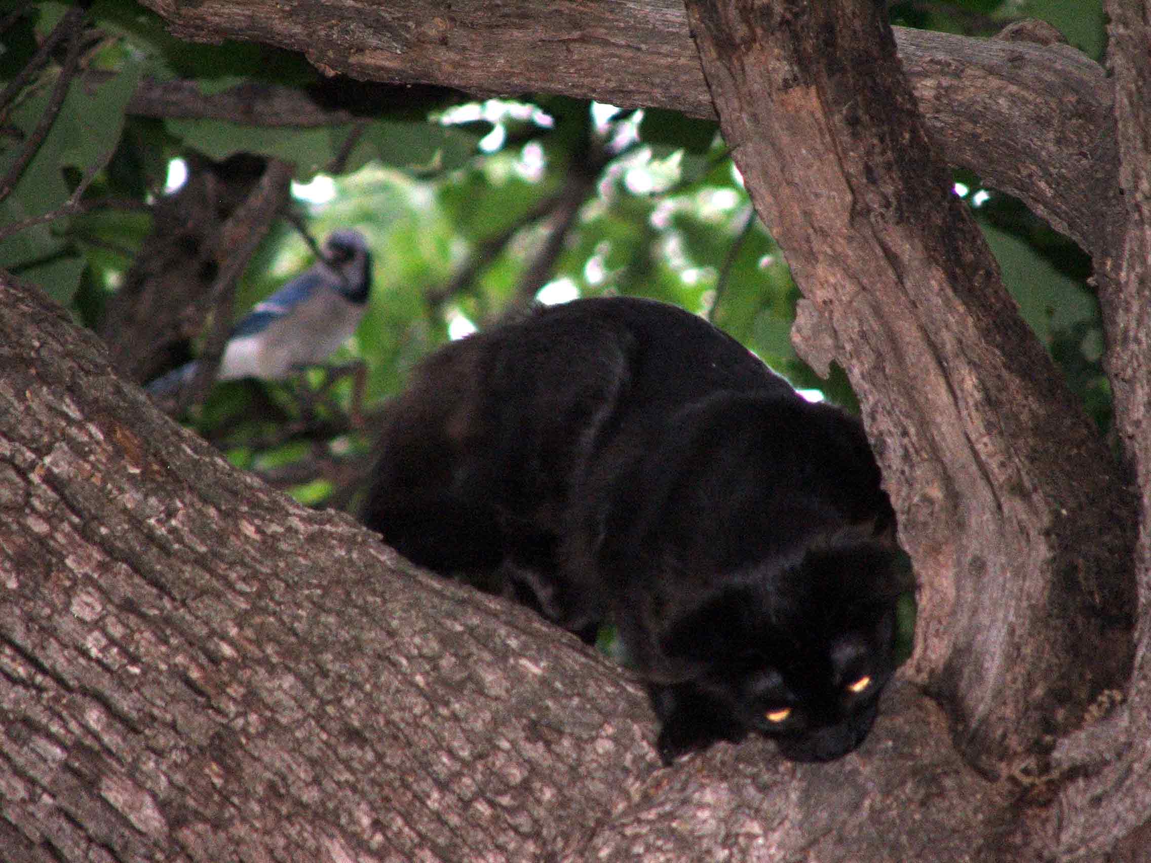 Photography by mcremin for DesignCrowd (Community Contests) | Design #9036343