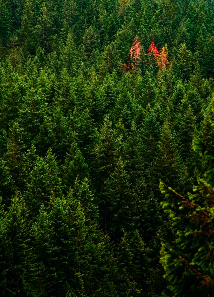 Photography by johnnytitan for DesignCrowd (Community Contests) | Design #9037463
