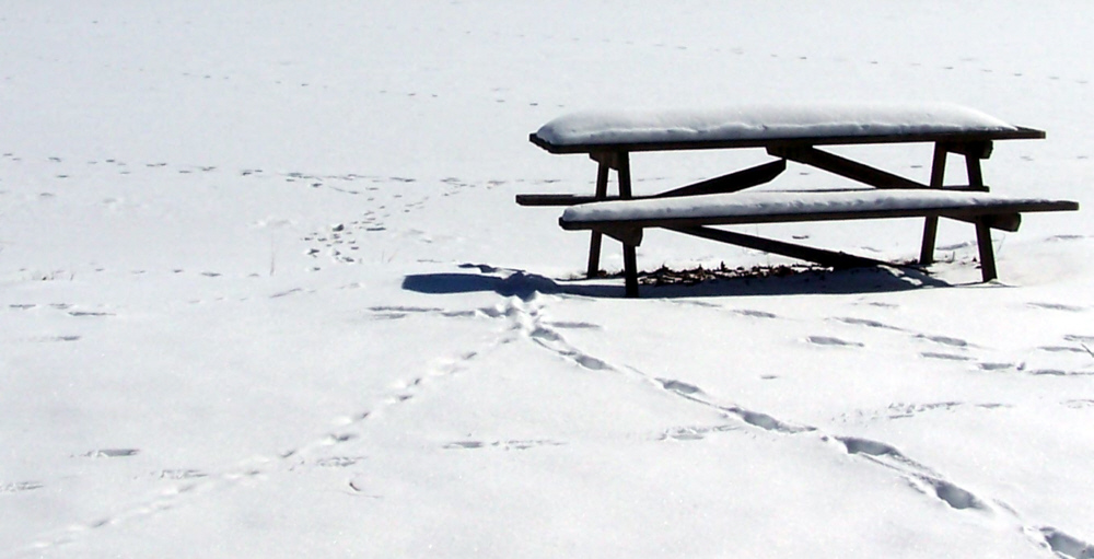 Photography by wildnature for DesignCrowd (Community Contests) | Design #9037559