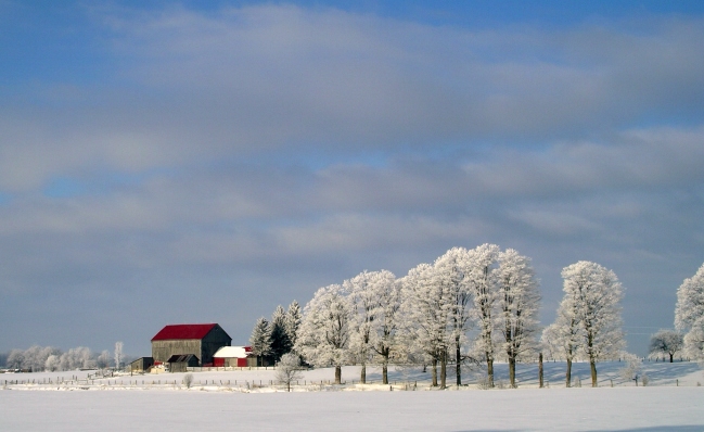 Photographie par Ajudith pour DesignCrowd (Community Contests) | Design #9037486