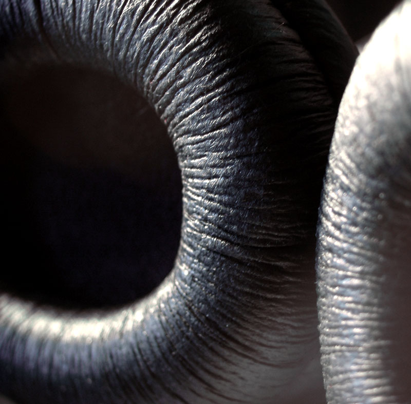 Photography by batthemadbat for DesignCrowd (Community Contests) | Design #9028219