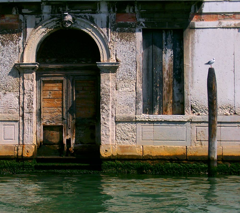 Photography by DutchPuh for DesignCrowd (Community Contests) | Design #9035185