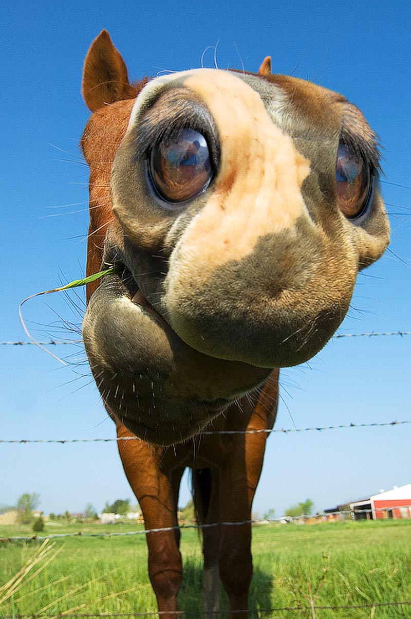 Photoshop Design by GoldenWreckedAngle for DesignCrowd (Community Contests) | Design #9036837