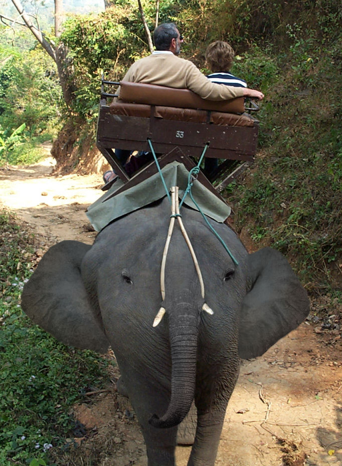 Photoshop-Design von Hobbit90 für DesignCrowd (Community Contests) | Design #9036828