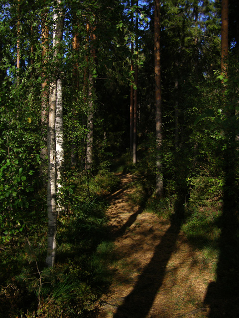 Photography by Tool47 for DesignCrowd (Community Contests) | Design #9034088