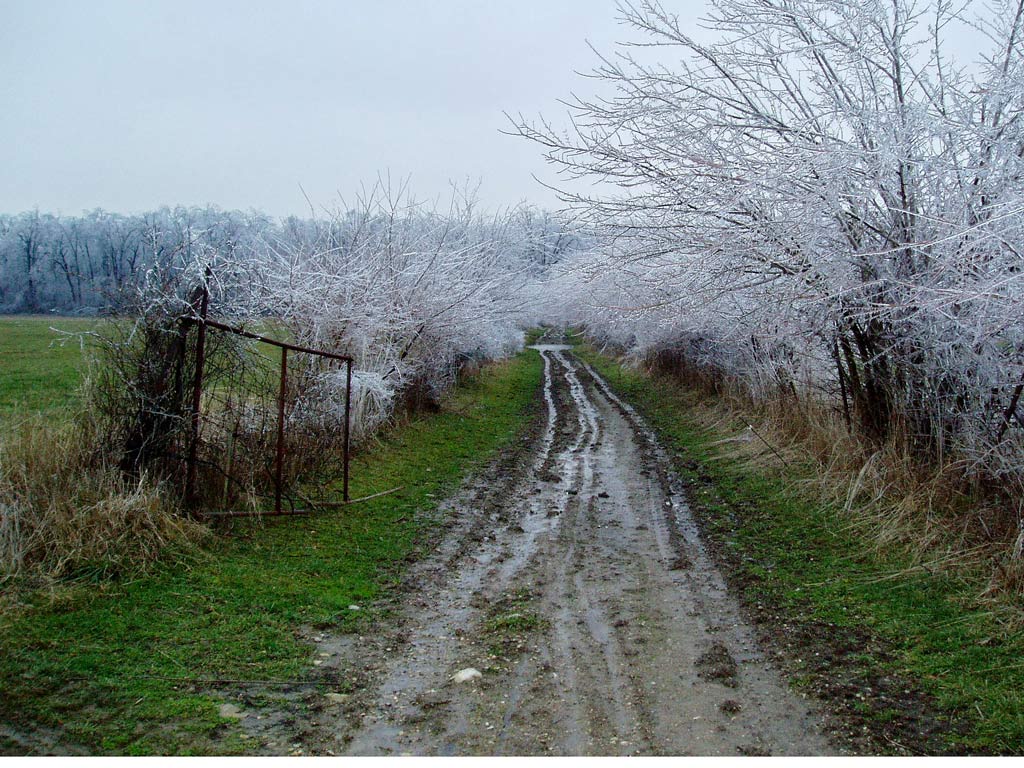 Photography by run71324 for DesignCrowd (Community Contests) | Design #9034096