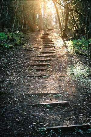 Fotografie von shermanio für DesignCrowd (Community Contests) | Design #9034091