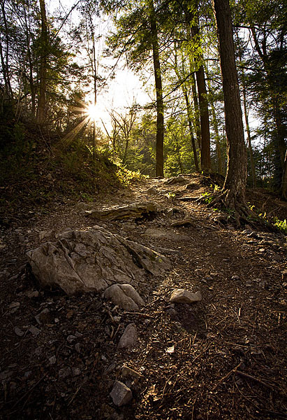 Fotografie von gdunbar für DesignCrowd (Community Contests) | Design #9034117